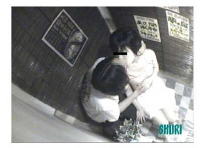 トイレピクチャ05